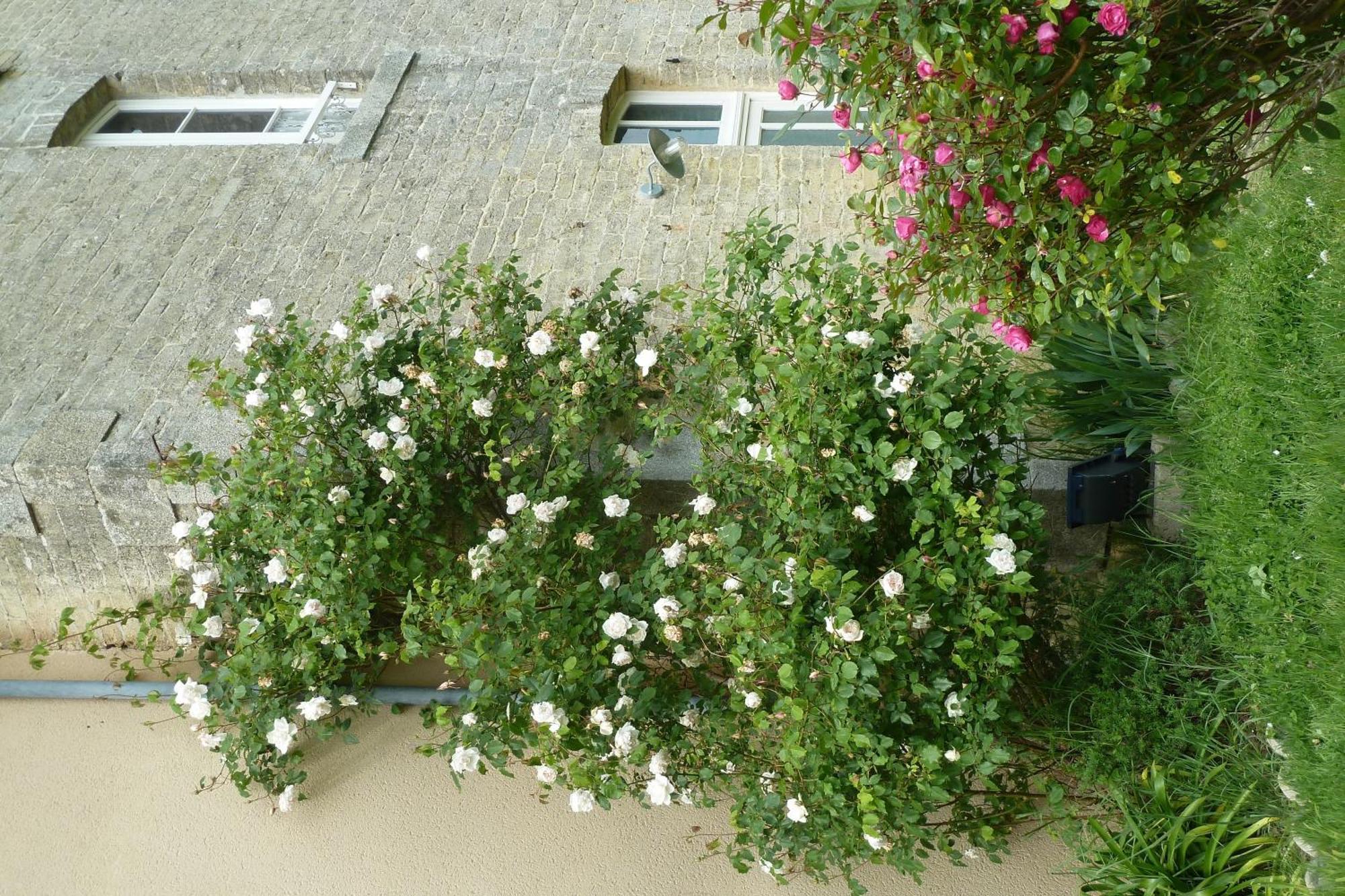 Saint-Maugan B&B L'Atelier Du Presbytere מראה חיצוני תמונה